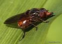 IMG_7151 Kopie
